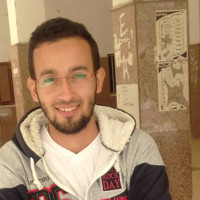 محمود المصري