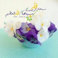 Shaymaa Elsayed Khater