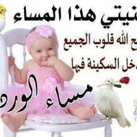 أبو عقلان العمراني