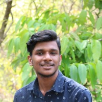 Hari Krishnan