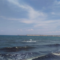 Raf Ali