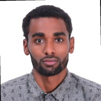 Tesfatsion Bisetegn