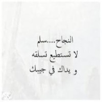Mohamed Gamal