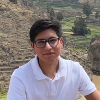 Alexis Aldo Mendoza Villarroel