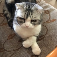 李碩恩