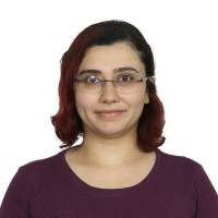 Mozhdeh Gheini