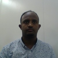 Fikru K Tesema