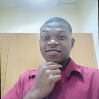 chisom Nnamdi