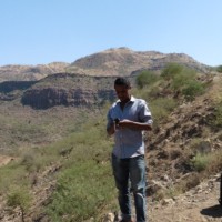 Nesibu Yahya