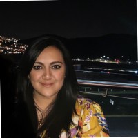 Michel Jiménez Alvarez