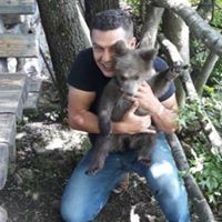 Armin Begic