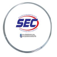 Shahid Electric Company