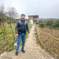 Abdollah Ghaed Rahmati