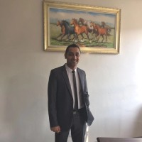 Mohamed Hassan