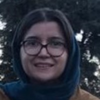 Mahsa HajiAbadian