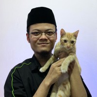 Muhammad David Ismail MS