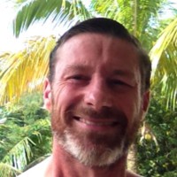 philippe avice