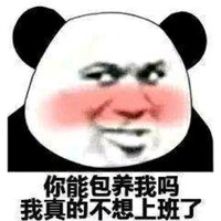 陈振飞