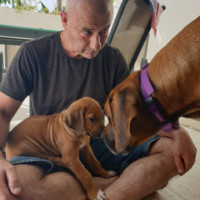 Abraham (Avi) Menkes