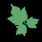Techlet Solutions Ltd