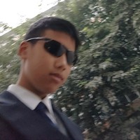 刘元鸿