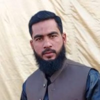 M NAFEES