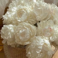 مرام السواط