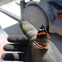 JOSE MANUEL RAMIREZ MARTINEZ