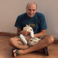 Federico Banchini
