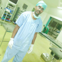 Bibin Raj