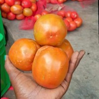 Jeunes Agriculteurs