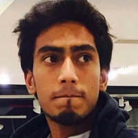 Abhinav Tanwar Lion...