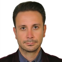 Amir Hossein Shams