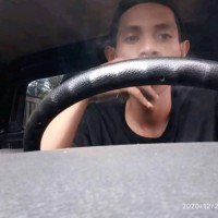 Hendra Hendra
