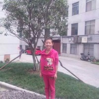 杨利青