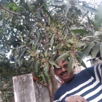 Shashikant Tiwary