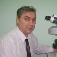 Vassili Sipovski