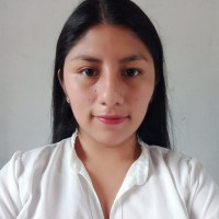 Elizabeth Rosmery Quispe Ari