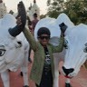 Dhanam P