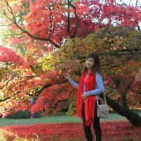 Thi Thu Huong Hoang