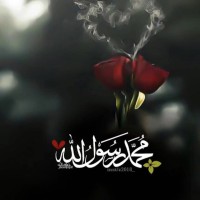 Hend Naser