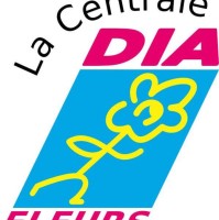 Dia Fleurs