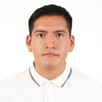 Diego Ilich Choque Severiche