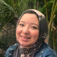 Nourhan Yassine