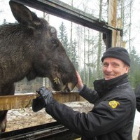 Seppo Karppelin