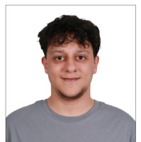 Sinan Mevlüt Sarıçiçek