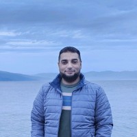 Dr Amr Dewidar