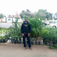 Mohamed Salat