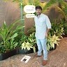 Ap Rajini