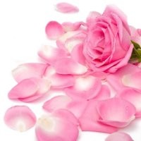indumathi pinkrose